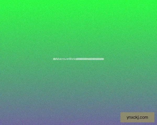 探索AdventureWorks企业架构与数据分析应用案例及其商业智能实践